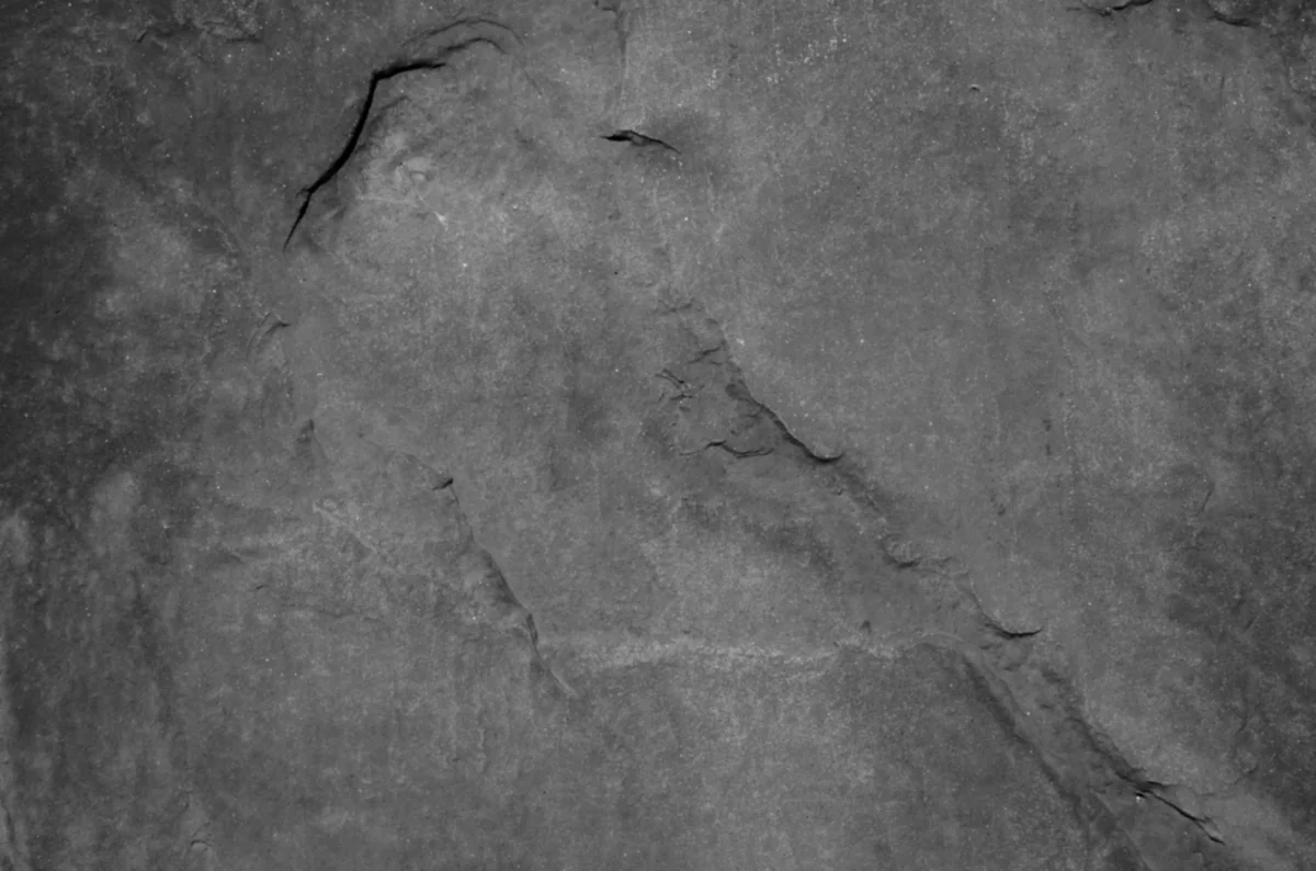 Generated height map